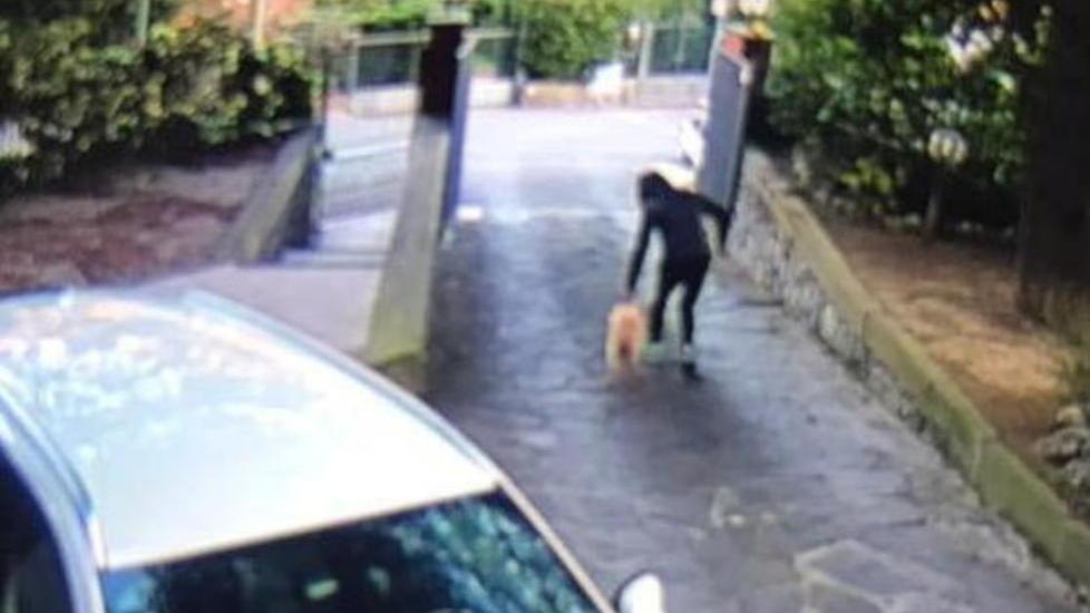 Liberata cagnolina rapita nel giardino di casa