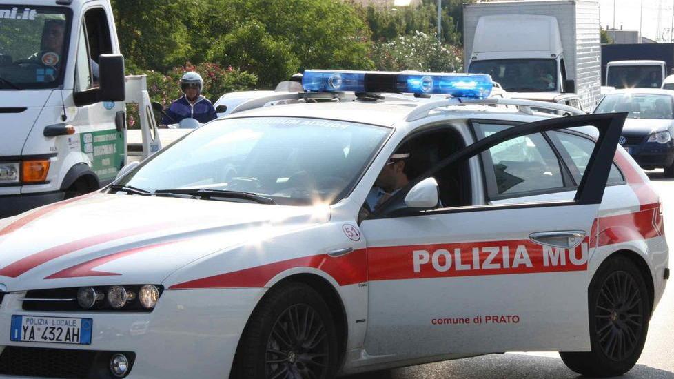 Investe un cane e non si ferma Multato un automobilista