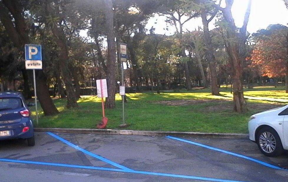 Strisce blu dove ferma l’autobus 