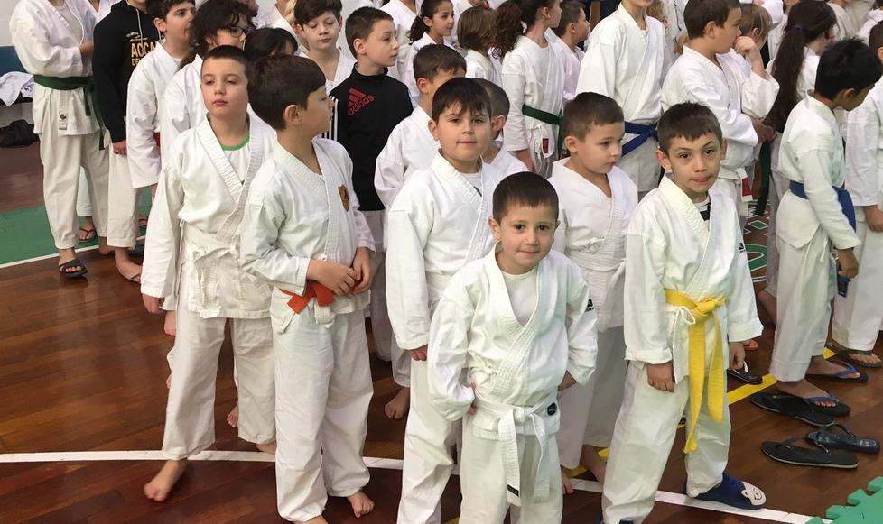 Quattro primi posti, l’arte del karate è pura Accademia 