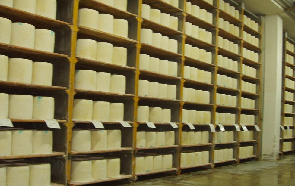 «Prezzo del latte, nodi irrisolti» 