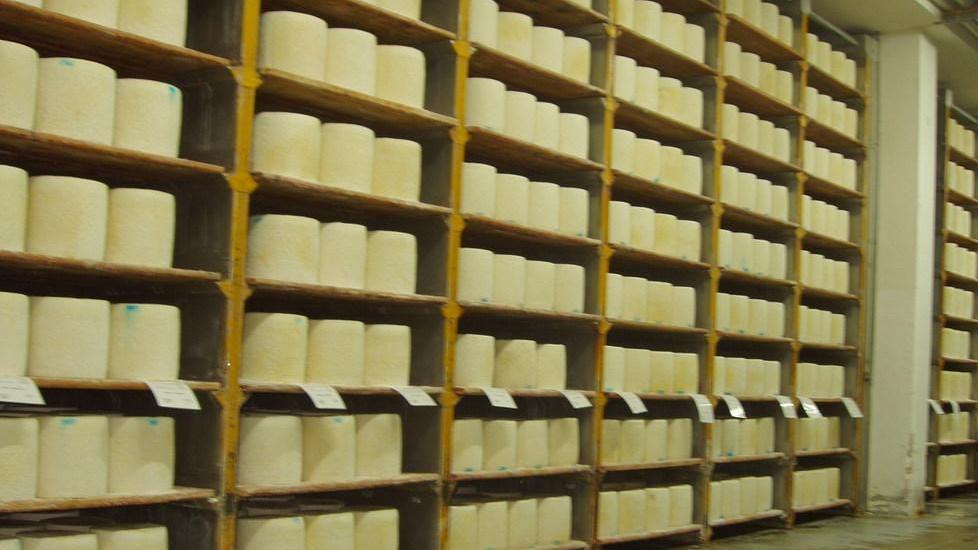 «Prezzo del latte, nodi irrisolti»