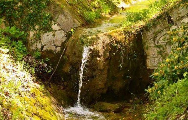 Riapre al pubblico il parco di Fundone 