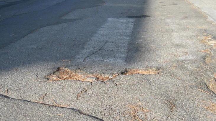 Degrado in via Boccaccio la soluzione è solo a metà