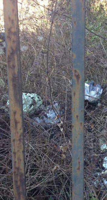 Villa Fiori in degrado L’indignazione corre su Facebook 