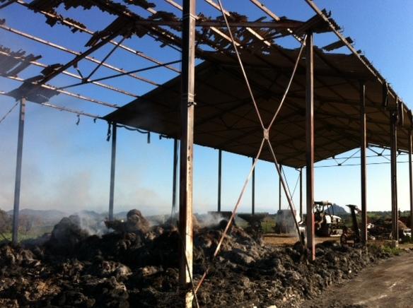 Incendio doloso distrugge azienda 