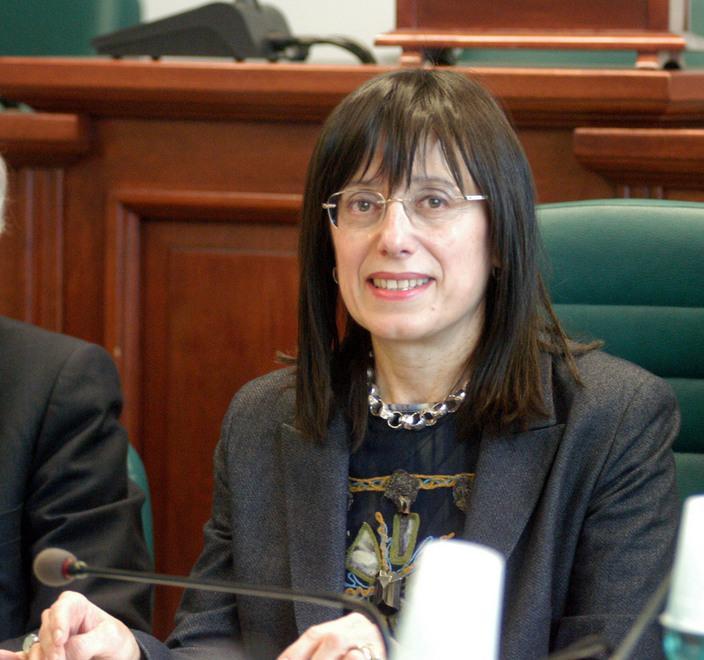 Protezione civile la giunta vara gli uffici territoriali