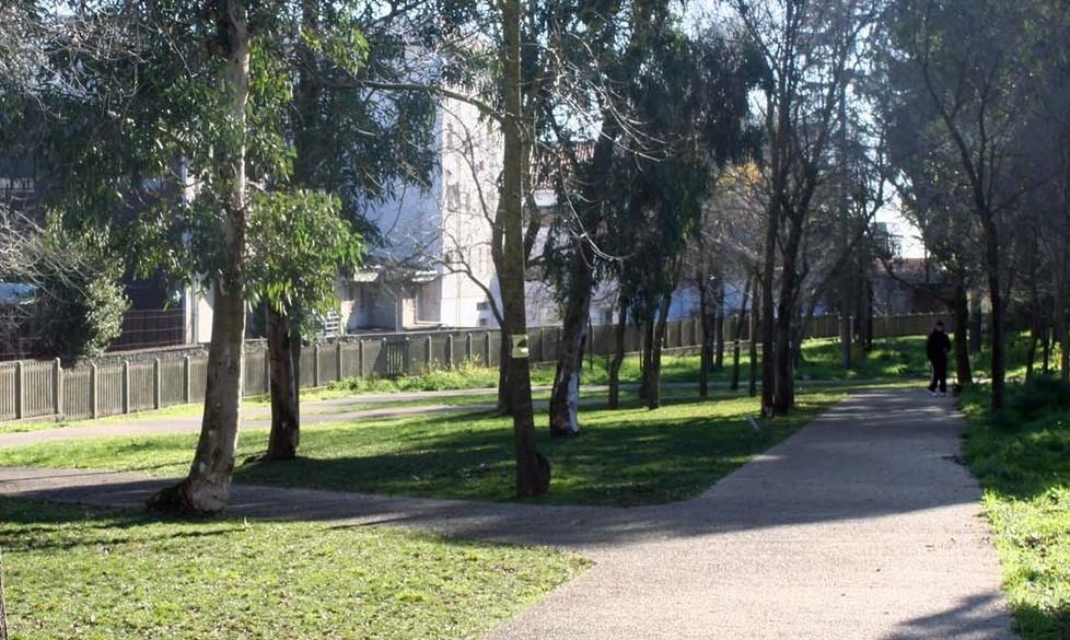 A Macomer il parco paradiso dei cani