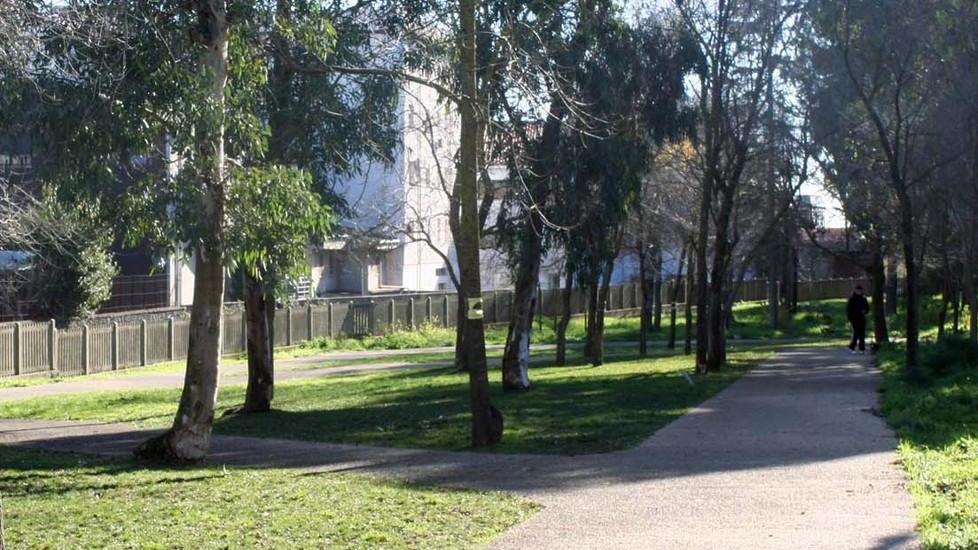 A Macomer il parco paradiso dei cani