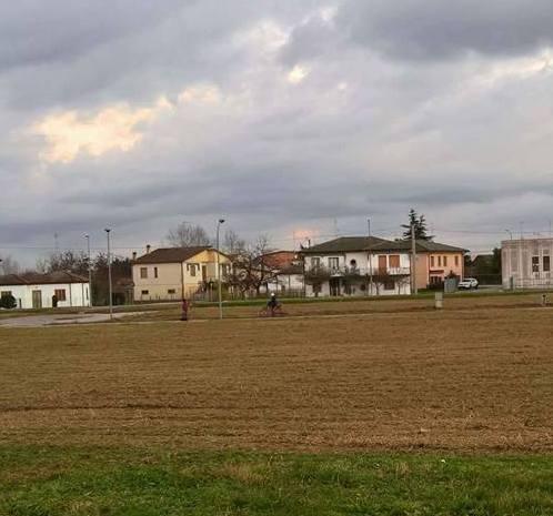 Dopo mesi di abbandono sfalciata un’area