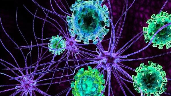 Tre casi di meningite in poche ore in Toscana, grave un'estetista di 20 anni - Video