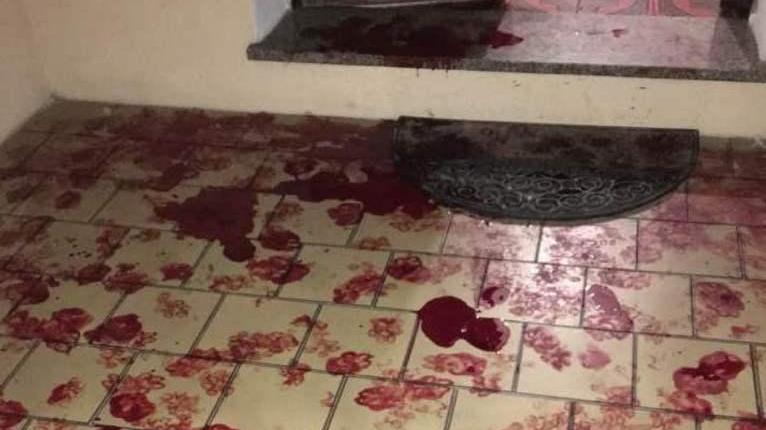 Olbia, caccia al ladro sbranato dal cane: ci sono i filmati delle telecamere