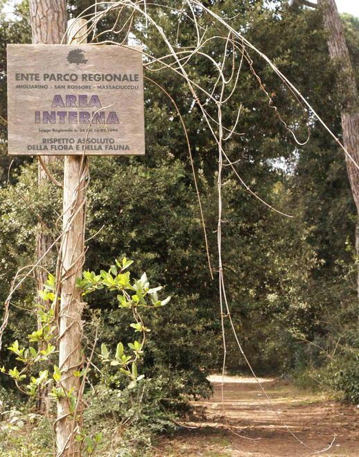 Parco, è scontro totale tra il sindaco ed il presidente 