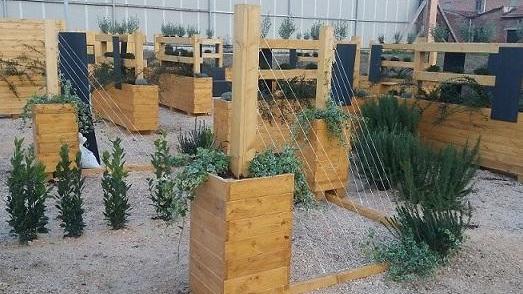 Quante domande in quel Giardino
