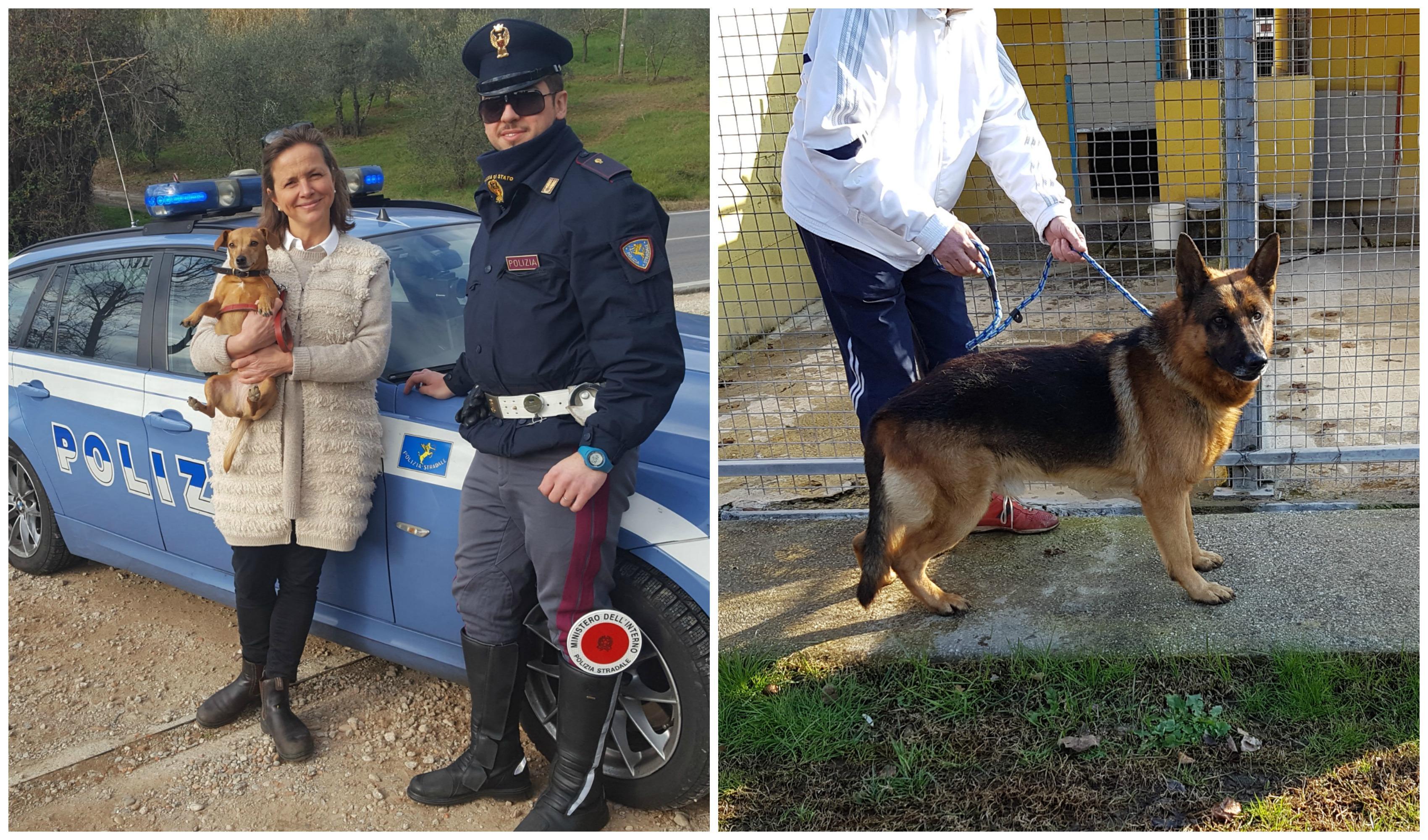 Gli animali salvati