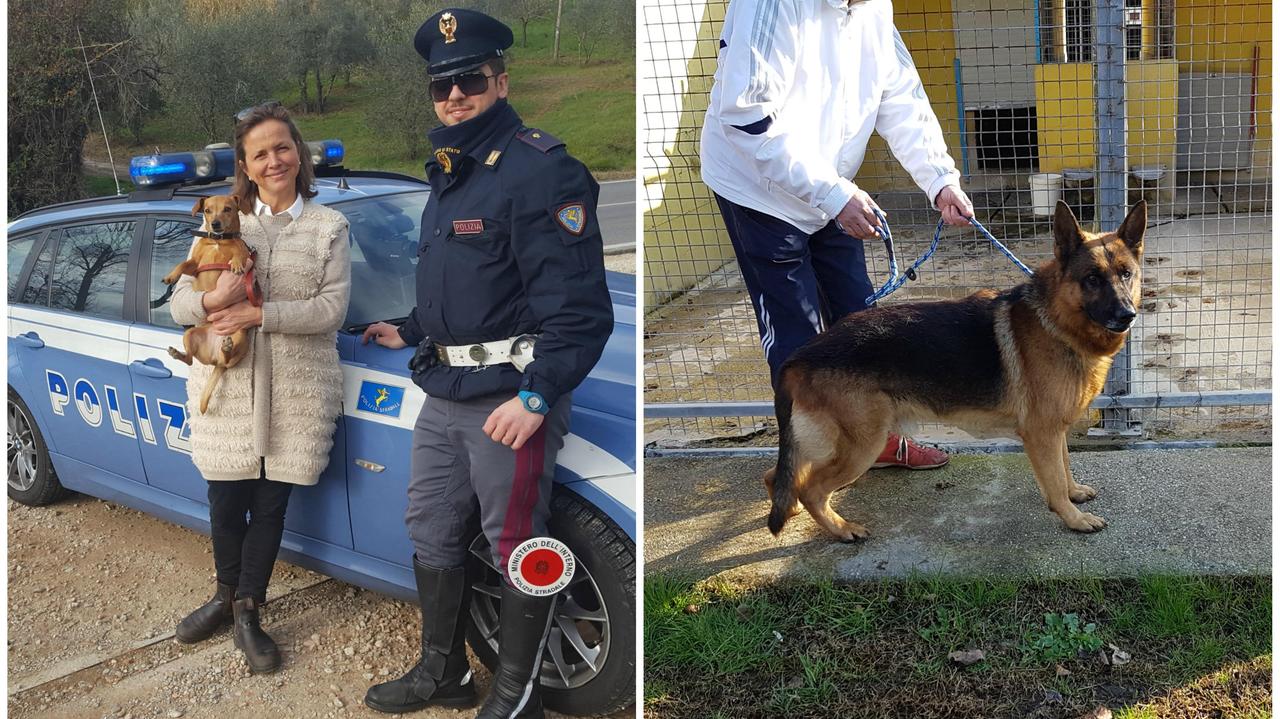 Gli animali salvati