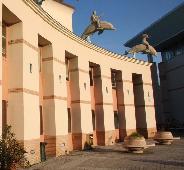 Biglietti scontati e tessere di servizio I tempi per acquistarli o farne richiesta