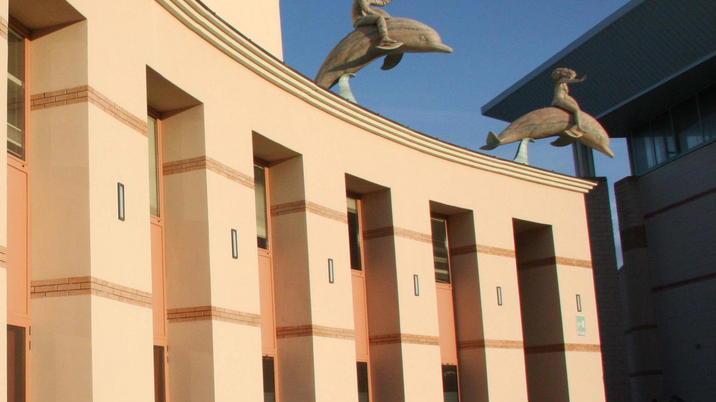 Biglietti scontati e tessere di servizio I tempi per acquistarli o farne richiesta