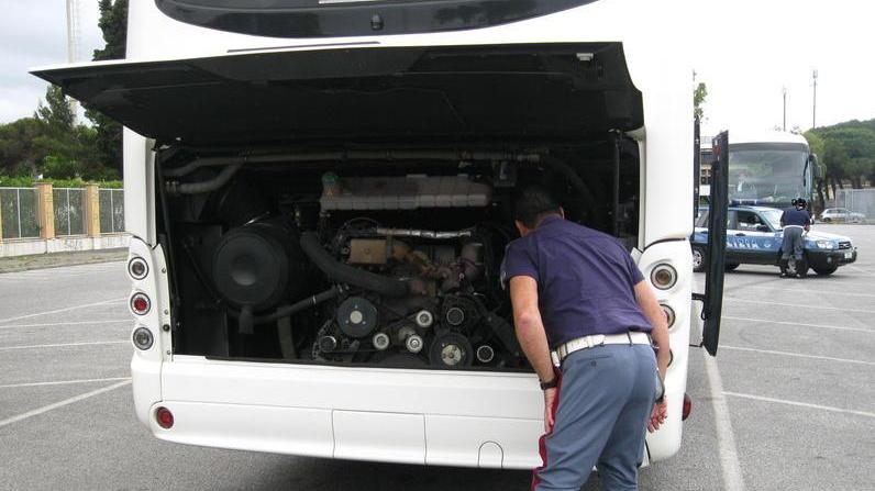 Gite scolastiche, irregolare a Livorno un bus su 8