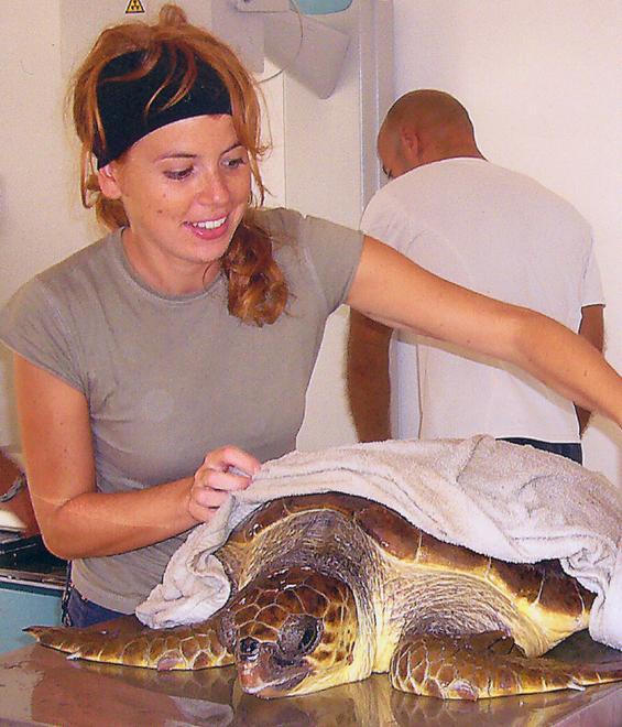 Fauna marina, accordo con Capo Caccia