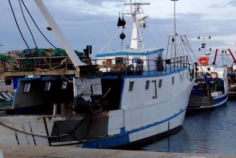 Nascono i Guardiani del mare, così la pesca si riconverte