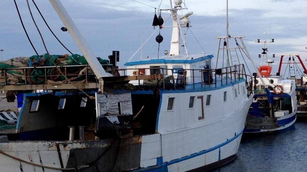Nascono i Guardiani del mare, così la pesca si riconverte