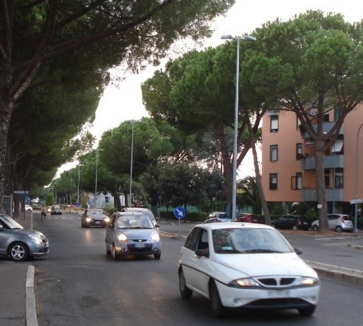 «Abbattete i pini in viale Uranio Sono pericolosi» 