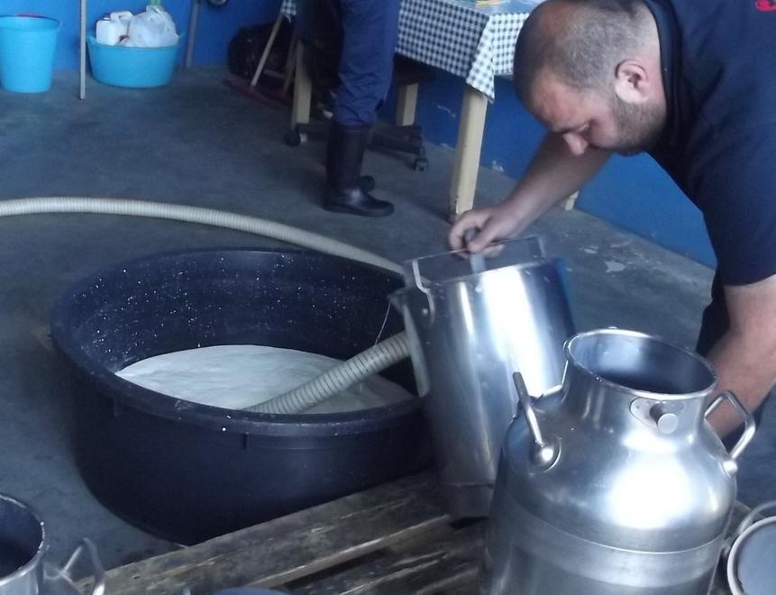 «Sindaci con i pastori in difesa del prezzo del latte ovino»