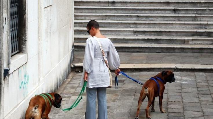 Cani sporcaccioni, multe salate ai padroni