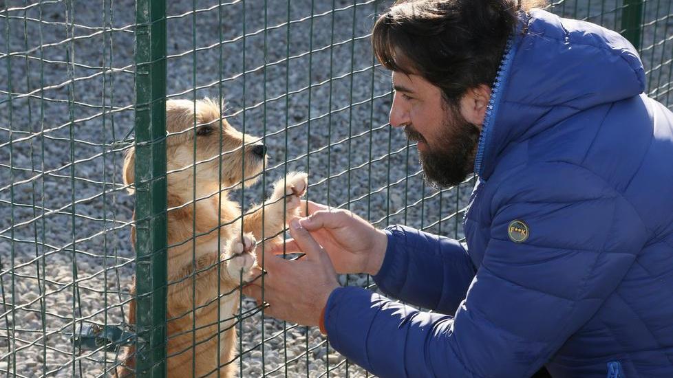 Al canile intercomunale di Modena un’Epifania pro-adozioni
