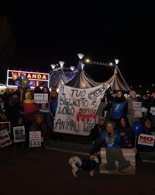 In 50 al presidio contro il circo, tensione e litigi 
