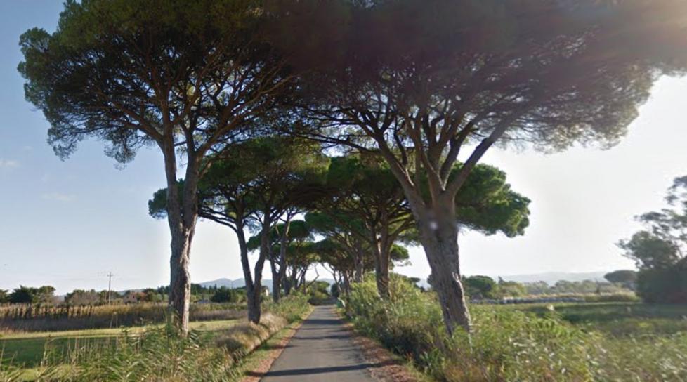 Via del Casone, 10.000 euro per la sicurezza della strada