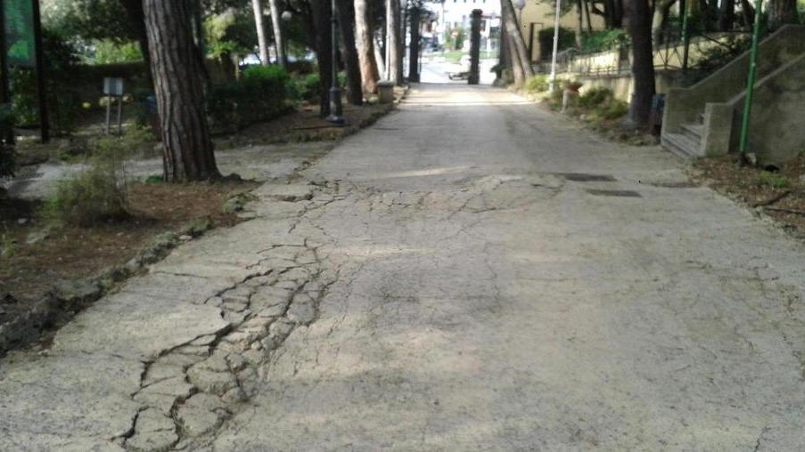 Dossi lungo il viale di accesso al castello Pasquini
