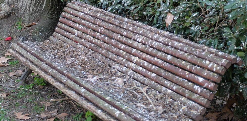Dormono sulle panchine Trovato un posto in albergo