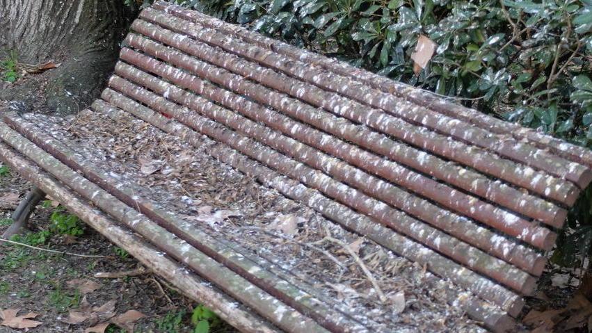 Dormono sulle panchine Trovato un posto in albergo