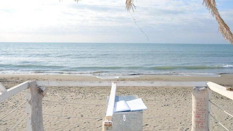 Caro mare ti scrivo Sulla riva spunta il libro delle emozioni