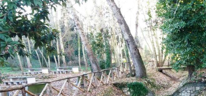 Potature al cimitero e a Fundone 