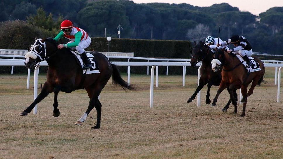 Alexanor stacca tutti nel premio Cacciamano
