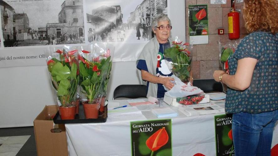 Al via domani la campagna Aido a scuola