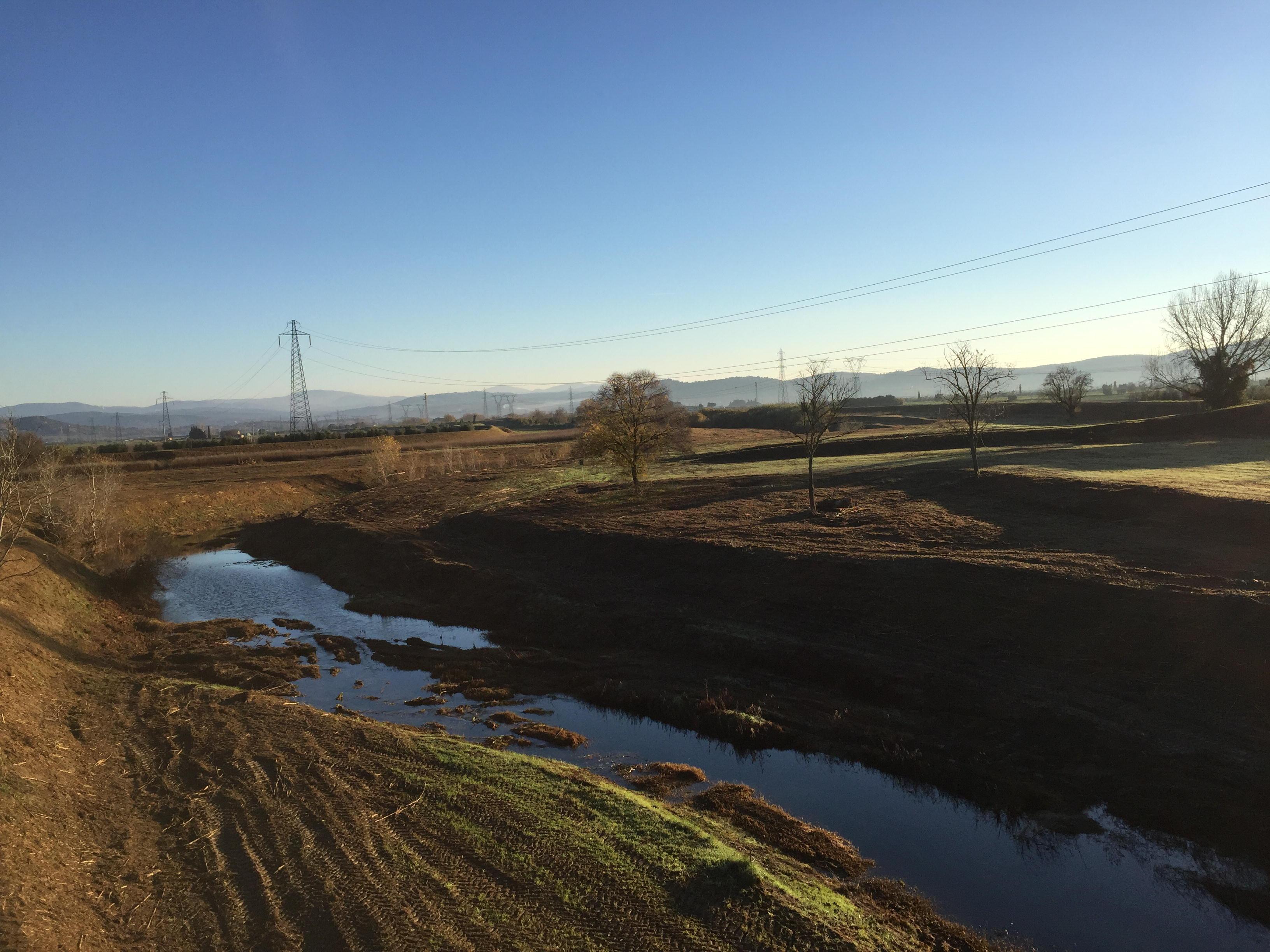 I lavori del Consorzio sul fiume Cornia