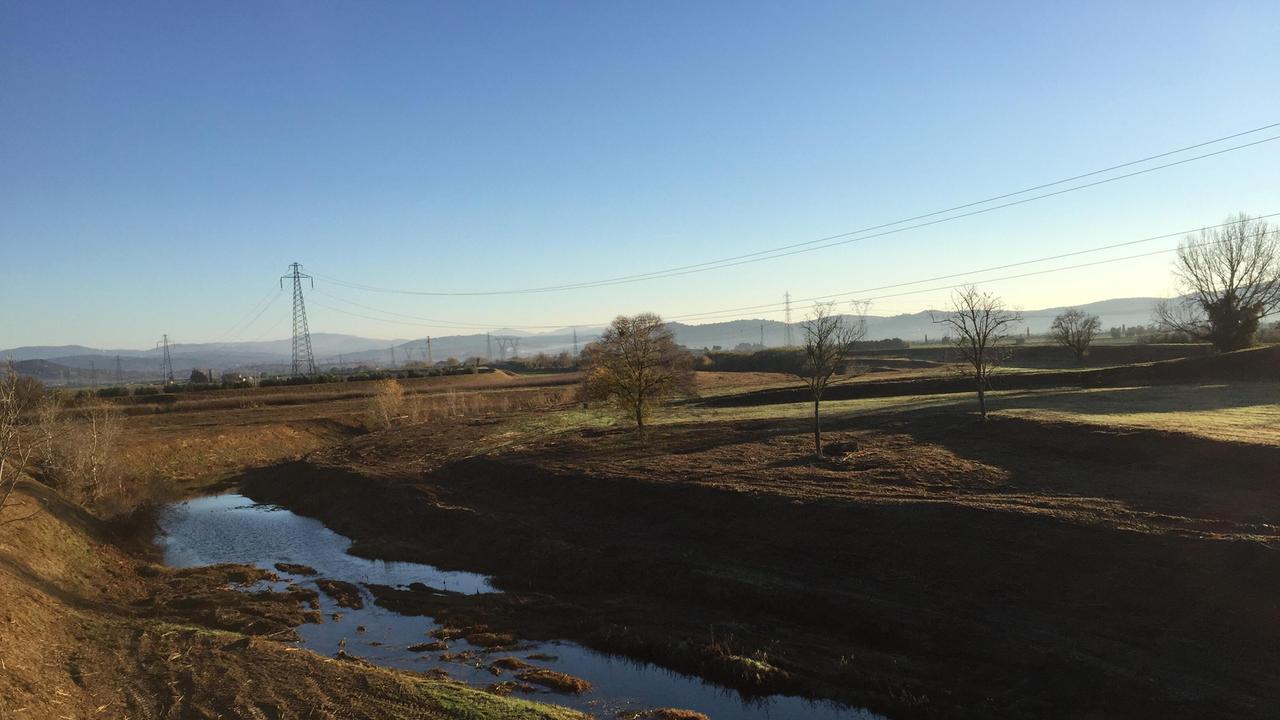 I lavori del Consorzio sul fiume Cornia