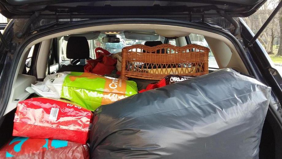Raccolte coperte e cibo per gli animali
