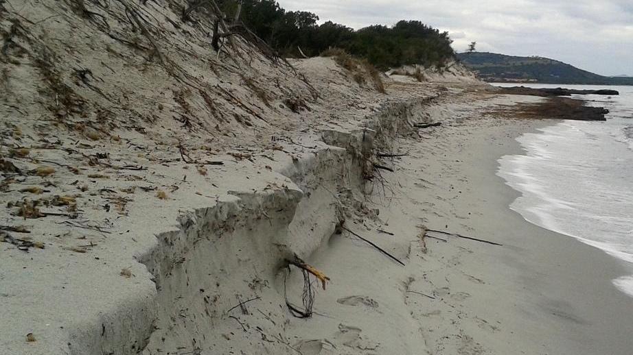 Dopo le piogge gravi danni alle dune di Capo Comino