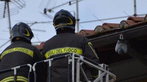 Piccione impigliato nella grondaia salvato dai pompieri
