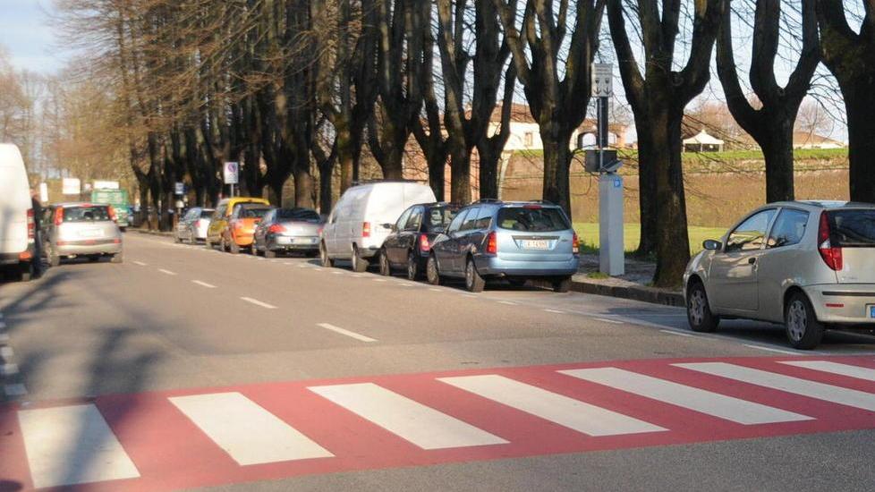 Patteggia per l’anziana investita sulle strisce