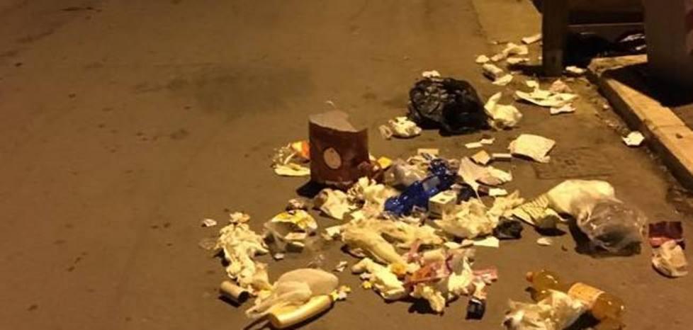 Spazzatura fuori dai bidoni «Opera dei cinghiali»
