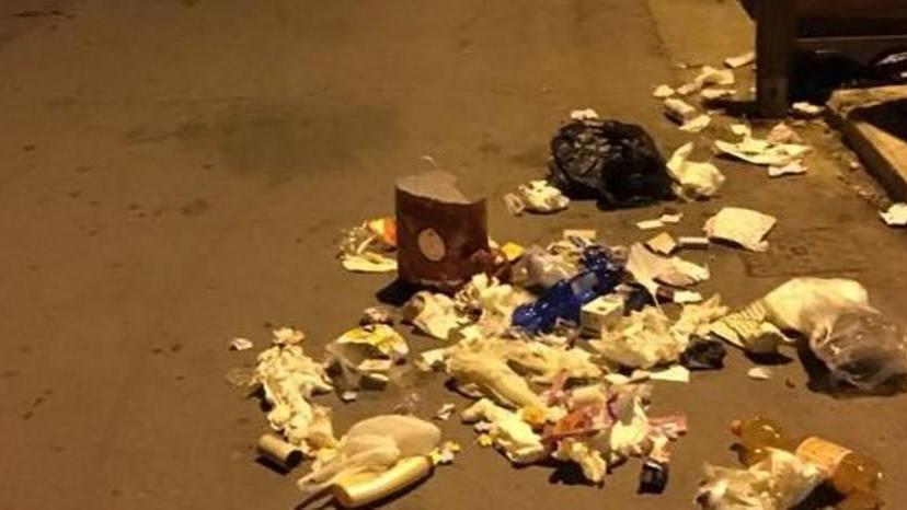 Spazzatura fuori dai bidoni «Opera dei cinghiali»
