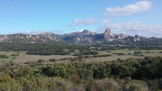 «Riprendiamoci la bellezza È questo il primo passo»