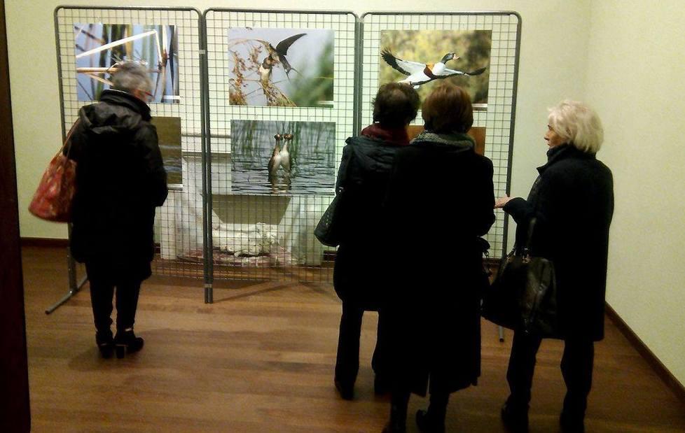 Un successo la mostra di Fratus 