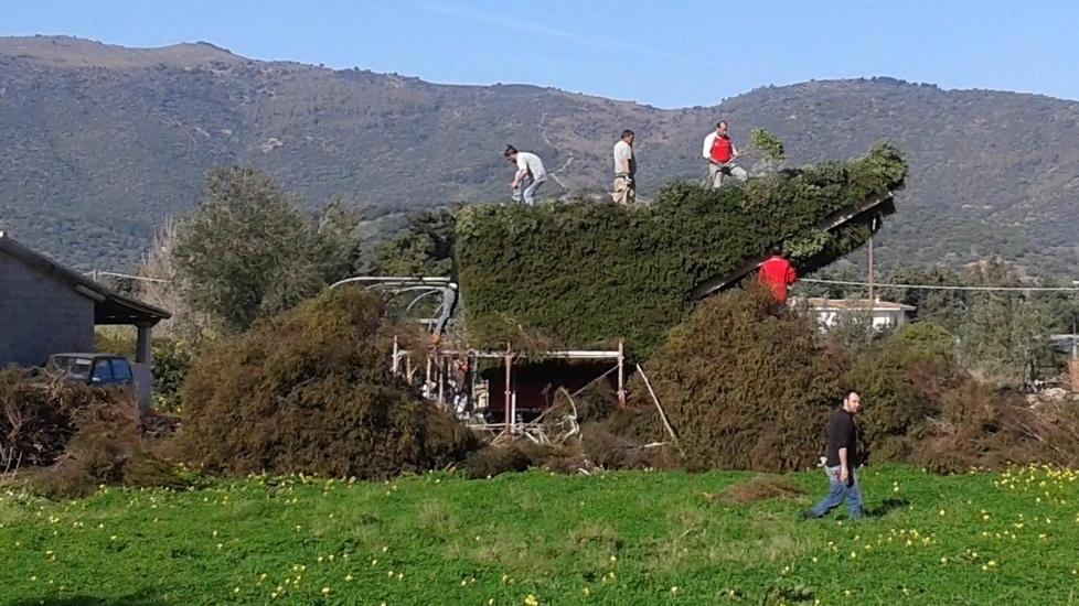 Grandi preparativi a Torpé per il giorno di Su Fogulone